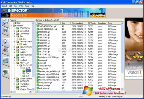 Снимак заслона PC Inspector File Recovery Windows 7