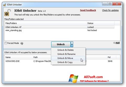 Снимак заслона IObit Unlocker Windows 7