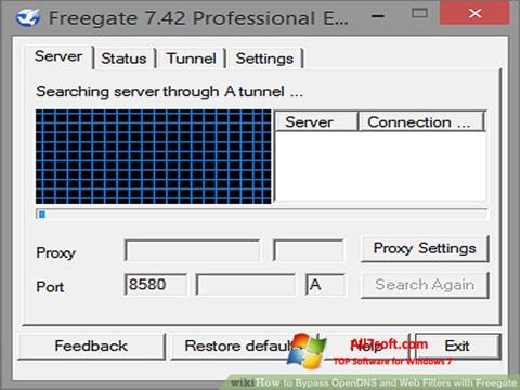 Снимак заслона Freegate Windows 7